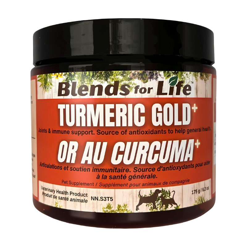 Turmeric Gold+ ★ - Blends for Life