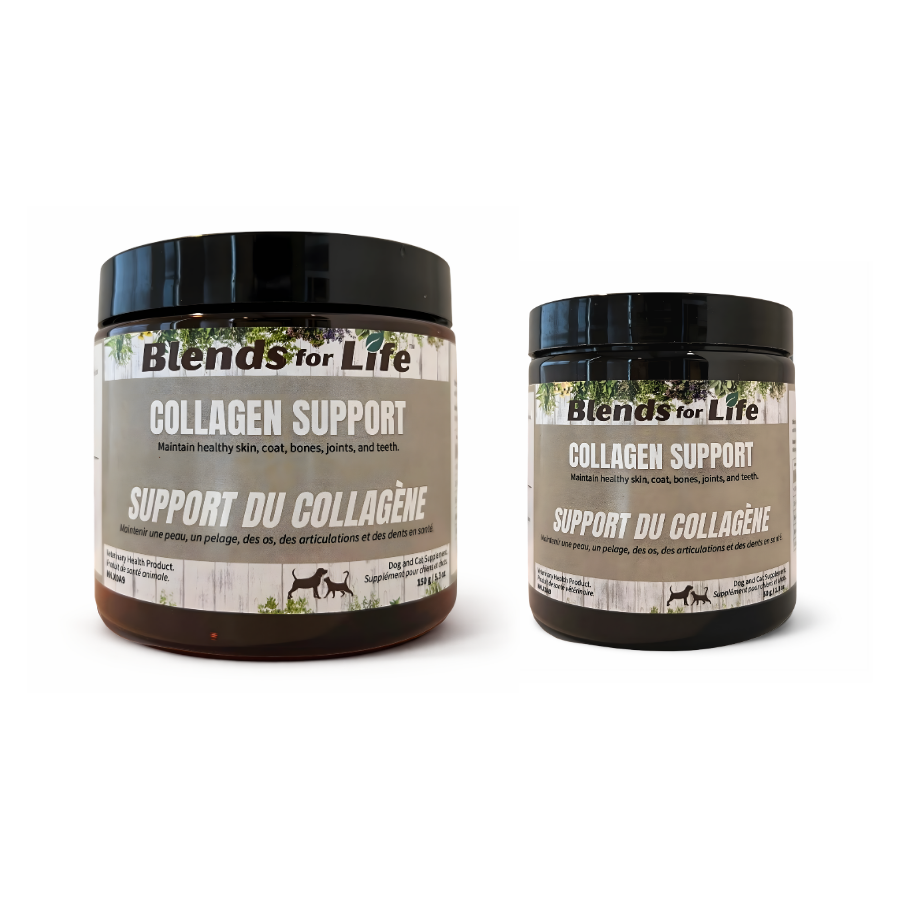 Collagen Support