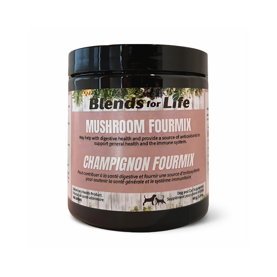 Mushroom Fourmix ★ - Blends for Life