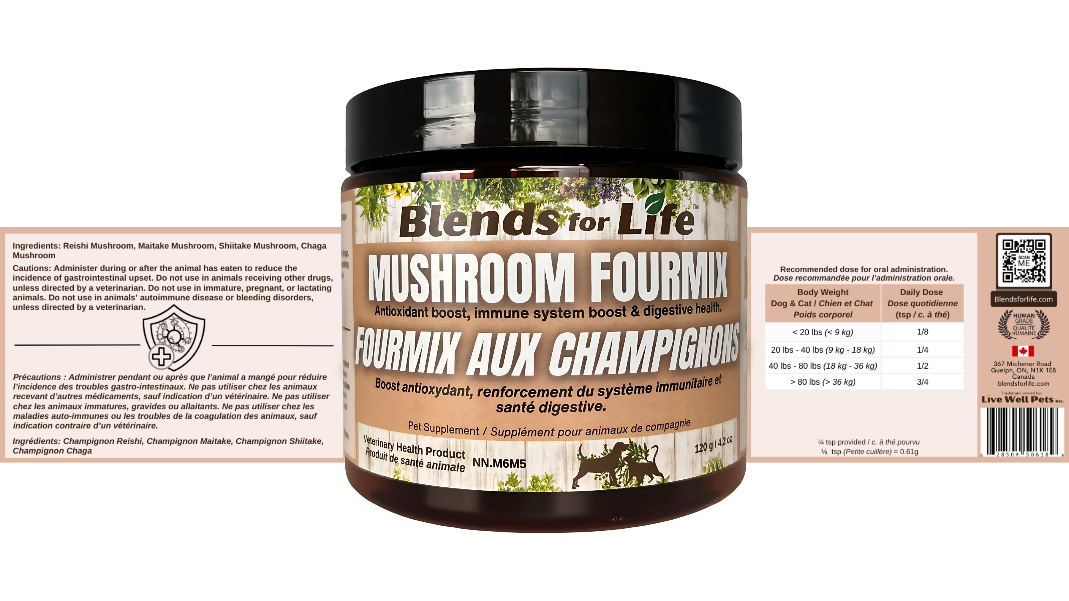 Mushroom Fourmix