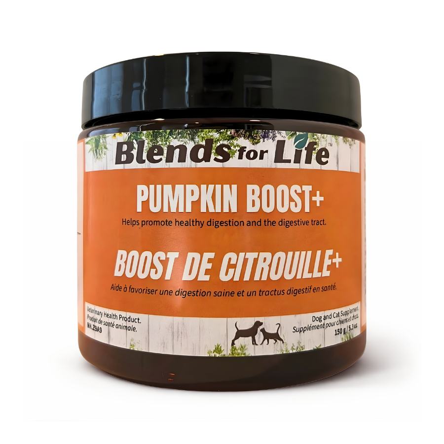 Pumpkin Boost+ ★ - Blends for Life