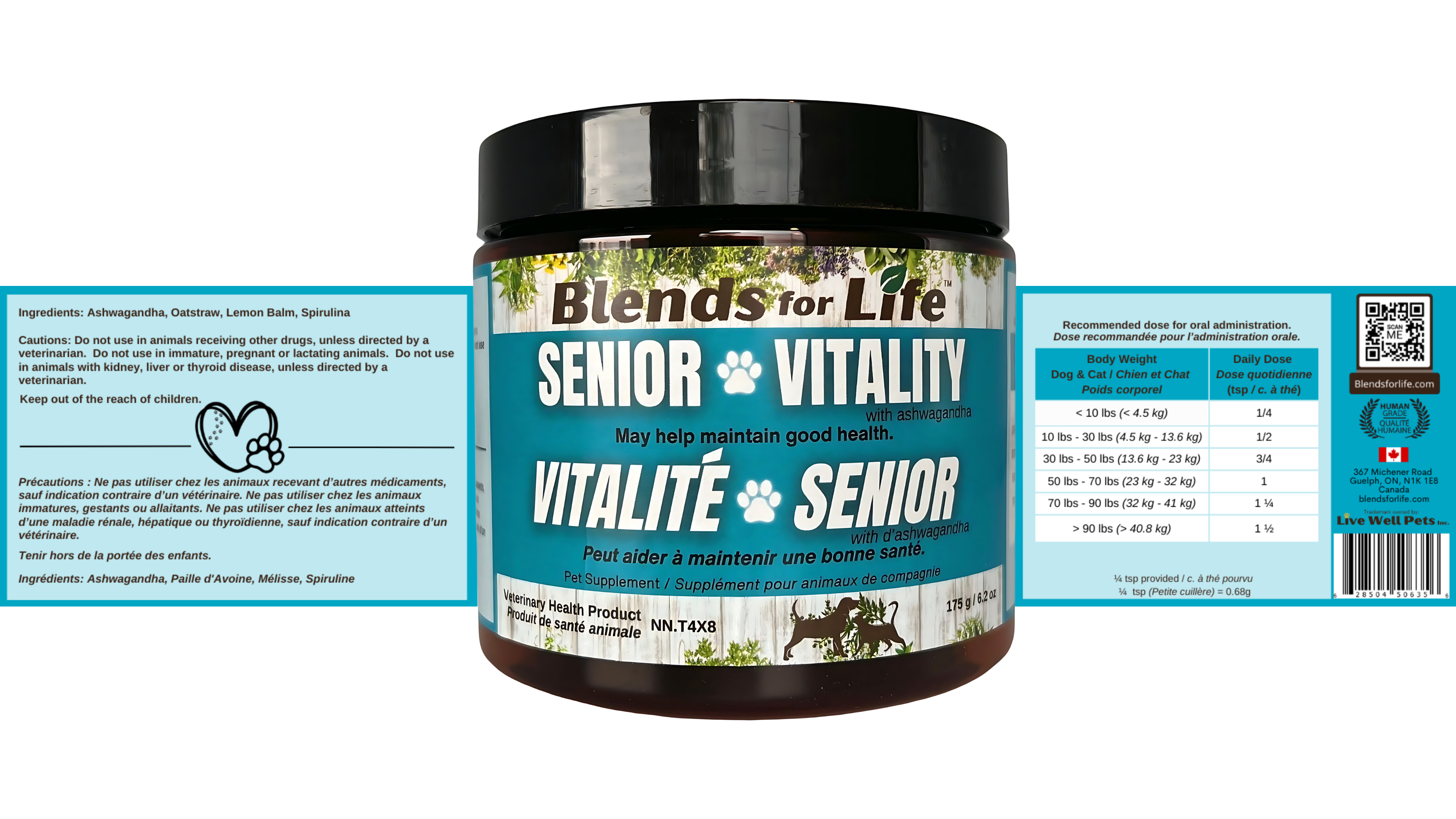 Senior Vitality