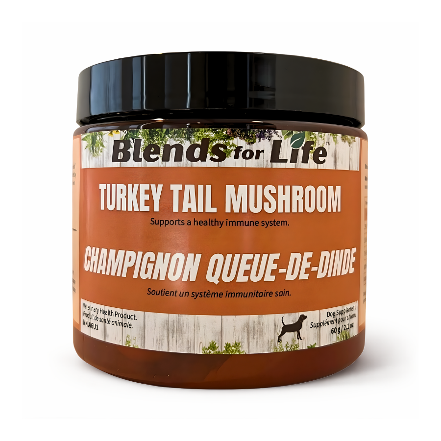 Turkey Tail Mushroom ★ - Blends for Life